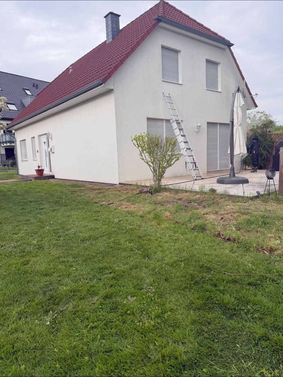 Hausfassade nach unserer schonenden Reinigung — Algen entfernt, Nano-Versiegelung aufgetragen